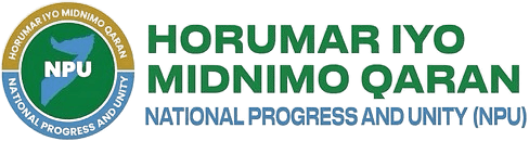 NPU